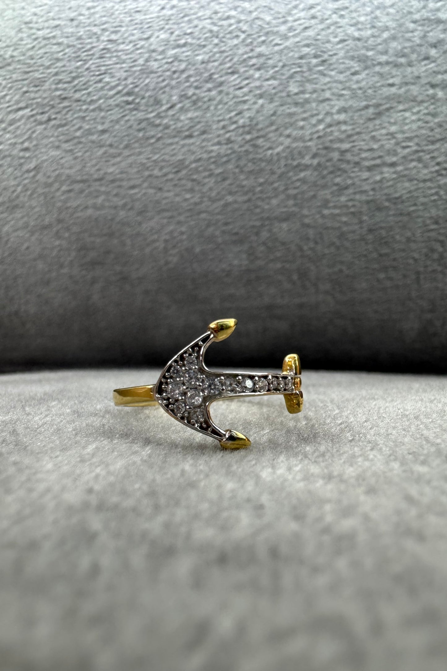 Anchor ring
