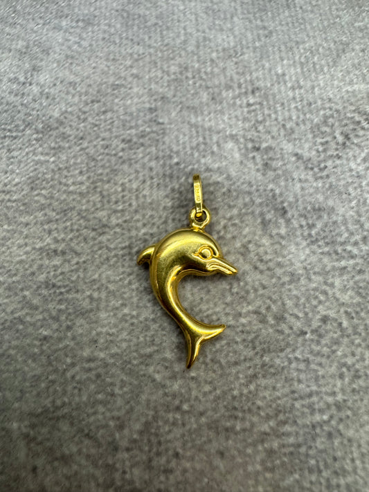 Dolphin